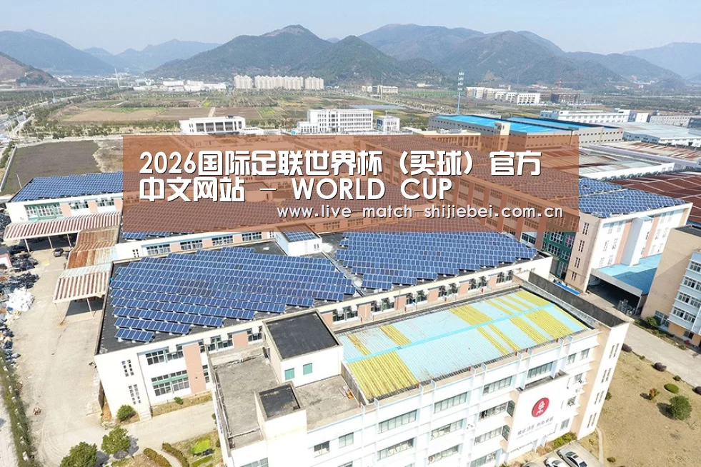 案例展示二
