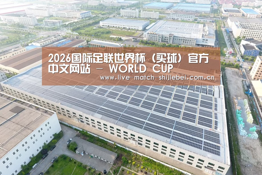 案例展示一