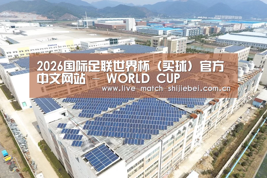 案例展示二