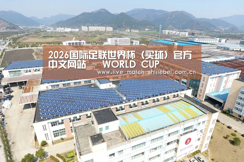 案例展示三