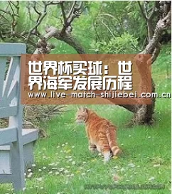 世界杯买球:世界海军发展历程海军发展前景是什么?(图1) 世界杯下注入口