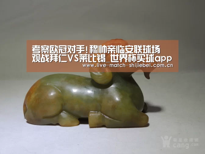 世界杯买球app