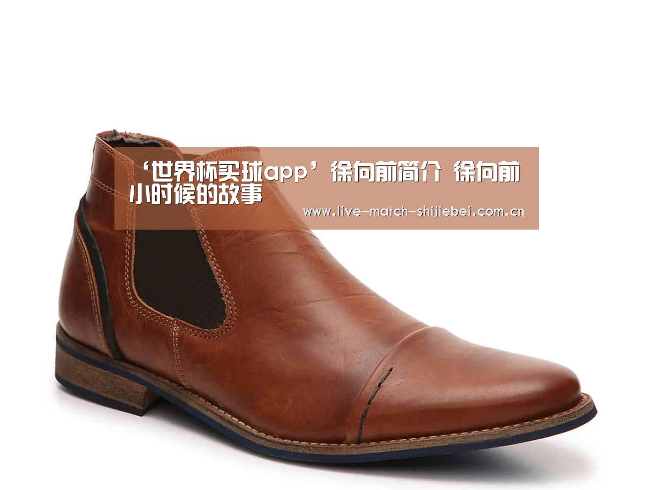 世界杯买球app
