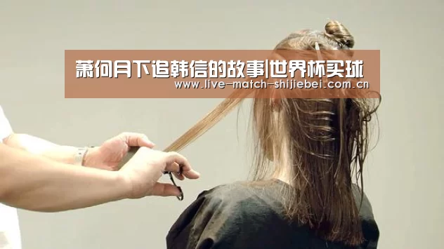 萧何月下追韩信的故事|世界杯买球(图4) 世界杯买球app