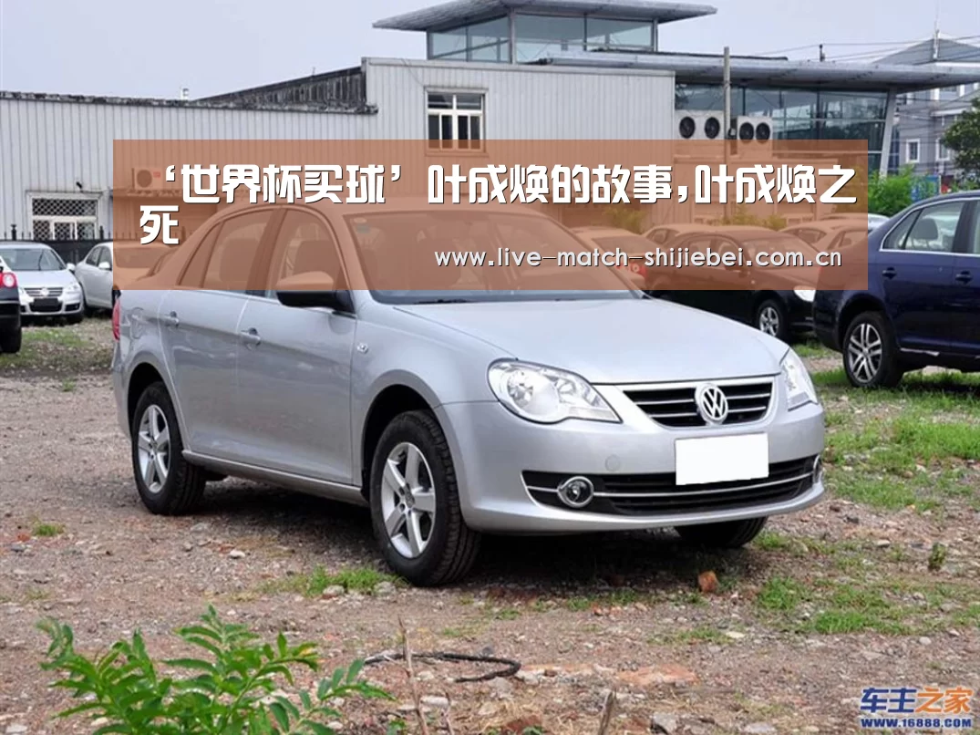 ‘世界杯买球’叶成焕的故事,叶成焕之死(图3) 世界杯买球