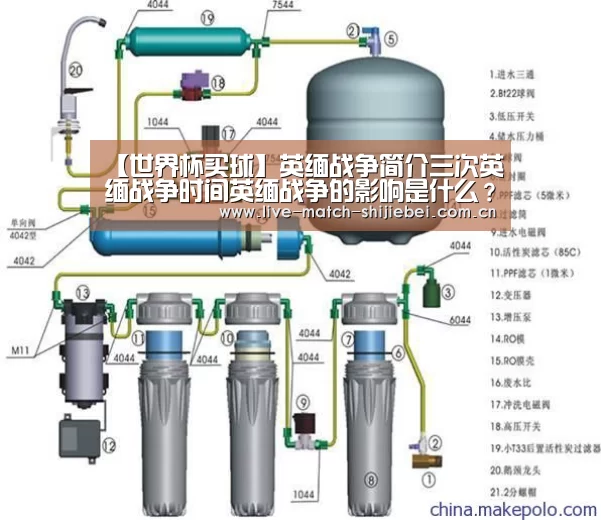 世界杯下注入口