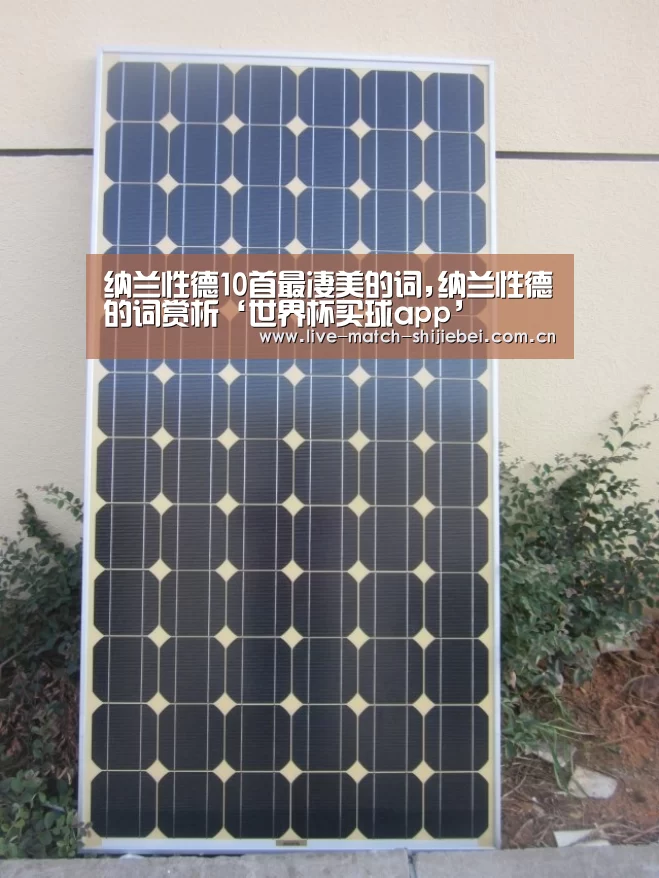 纳兰性德10首最凄美的词,纳兰性德的词赏析‘世界杯买球app’(图3) 世界杯买球app