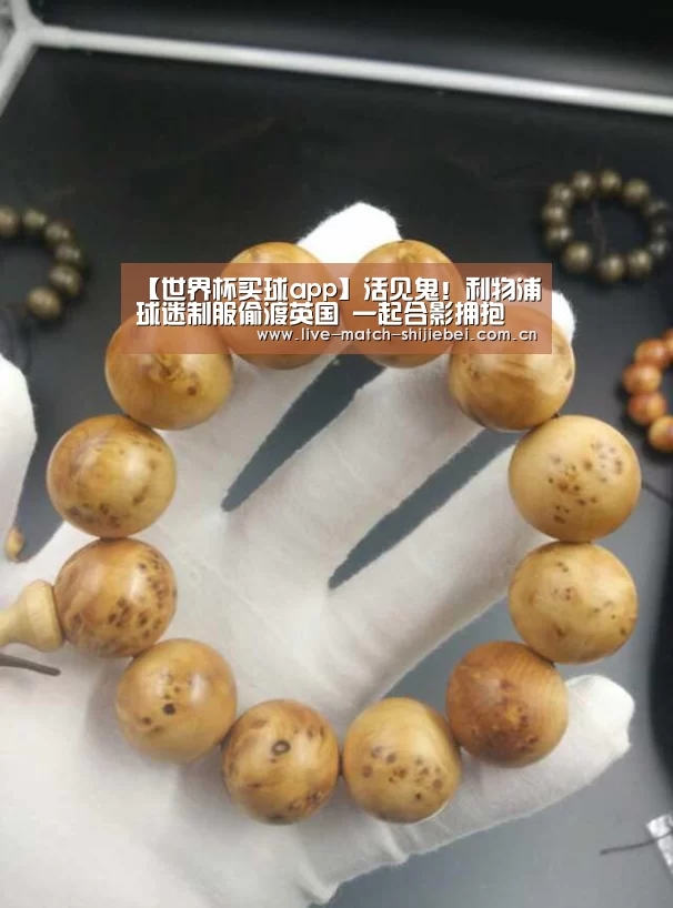 世界杯下注入口
