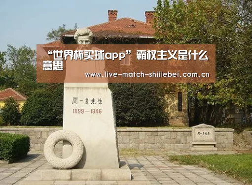 “世界杯买球app”霸权主义是什么意思(图3) 世界杯买球app