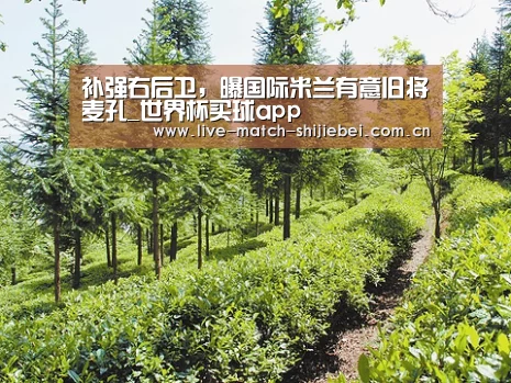 补强右后卫,曝国际米兰有意旧将麦孔_世界杯买球app(图2) 世界杯买球app
