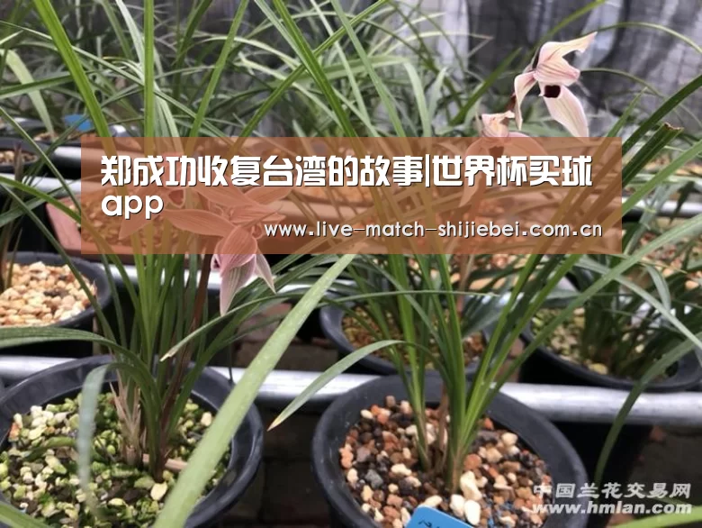 郑成功收复台湾的故事|世界杯买球app(图2) 世界杯买球