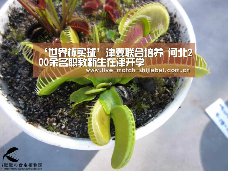 ‘世界杯买球’津冀联合培养 河北200余名职教新生在津开学(图2) 世界杯下注入口