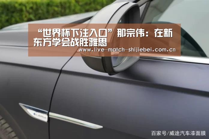 世界杯下注入口