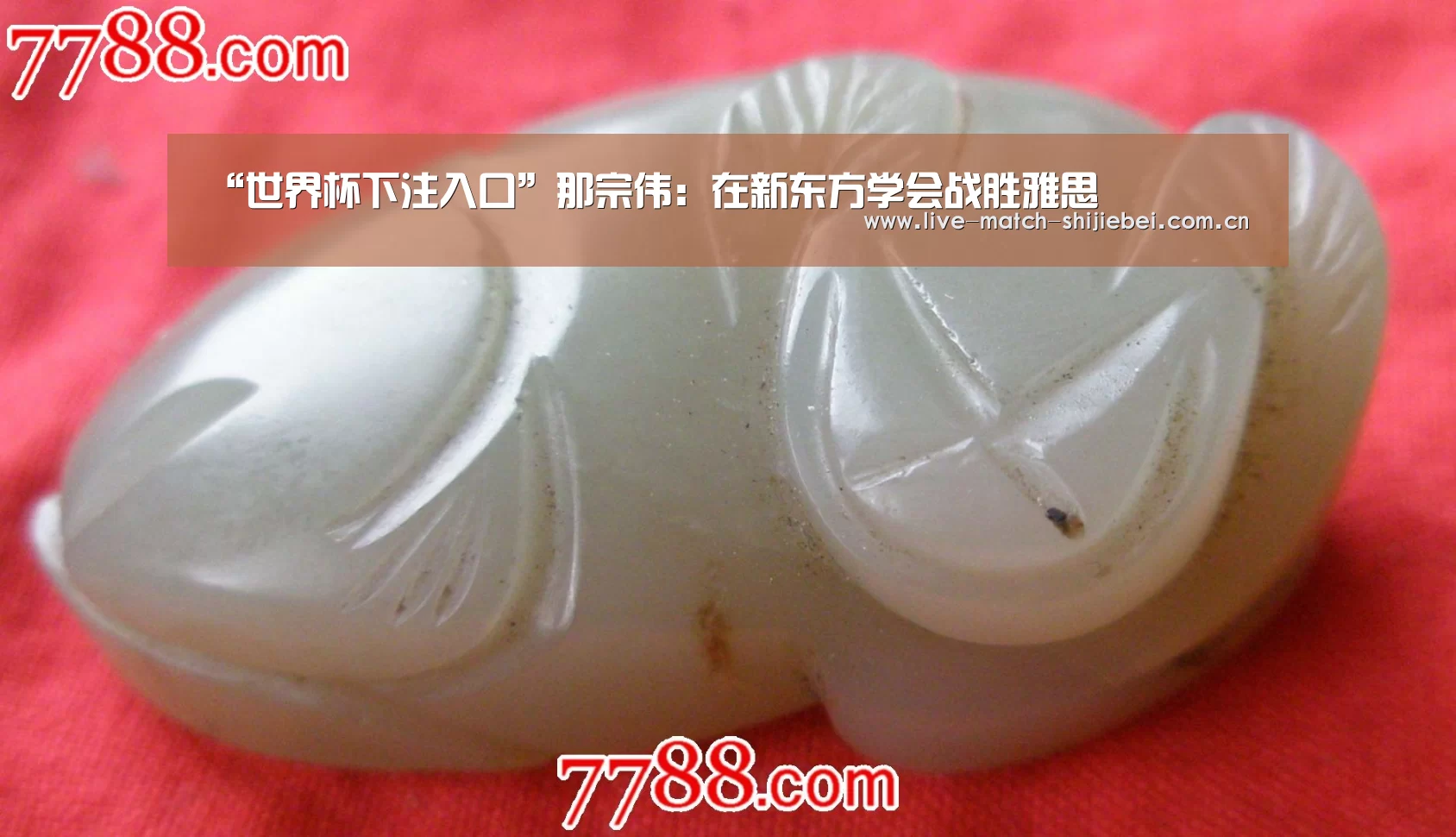 世界杯下注入口
